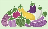 eggplants illustrations