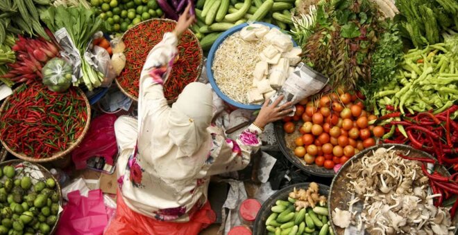 Myriad USA: Preserving a Precious Resource – Global Food Security Through Crop Diversity