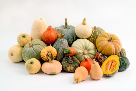 Protecting Your Pumpkin from Climate Change