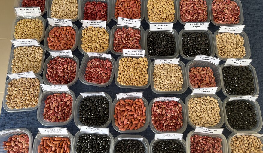 Bloomberg: Arctic Vault Stashes More Seeds for Future Food