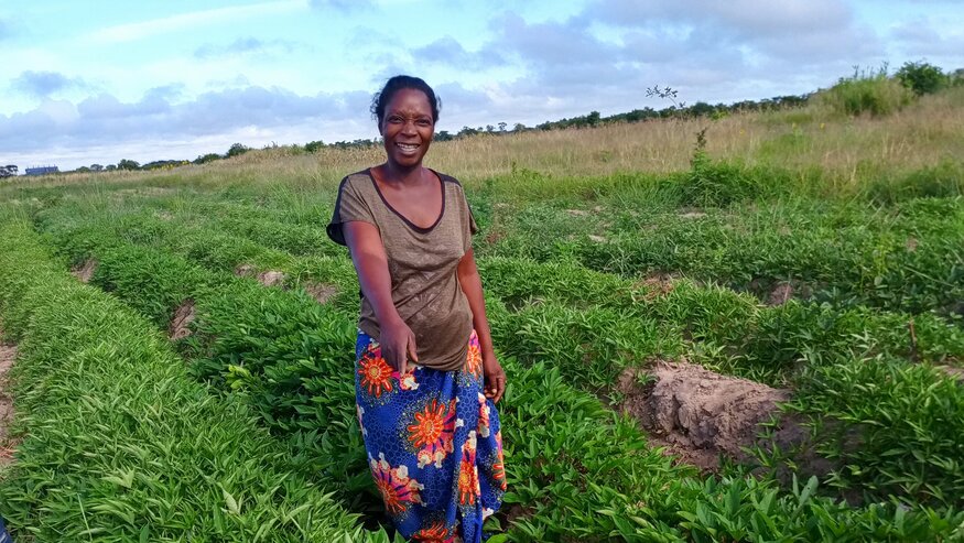 Darwin Initiative: Sweetpotato Project Strengthens Communities
