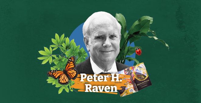 Peter H. Raven: U.S. Evolutionary Biologist Who Redefined Botanical Gardens