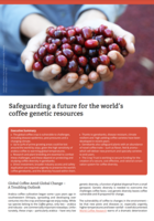 Safeguarding a Future for the World’s Coffee Genetic Resources