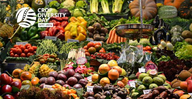 Crop Diversity Day 2026 Puts Flavour and Healthier Diets on the Menu
