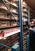 IITA's genebank, Genetic Resources Center, houses the world’s largest collection of cowpea. Photo: Tchamba Marimagne/IITA