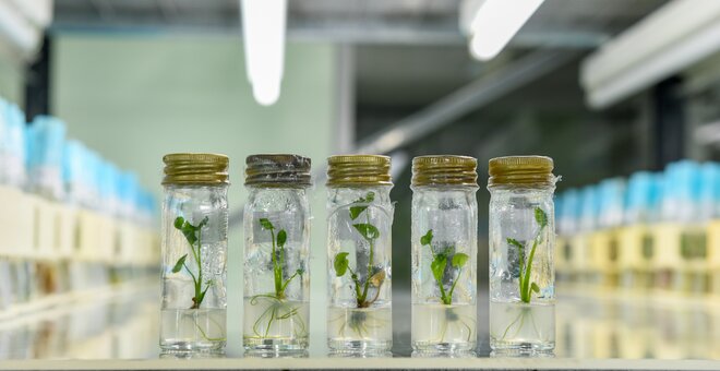 The Crop Trust Starts 2026 with New Leadership Perspectives