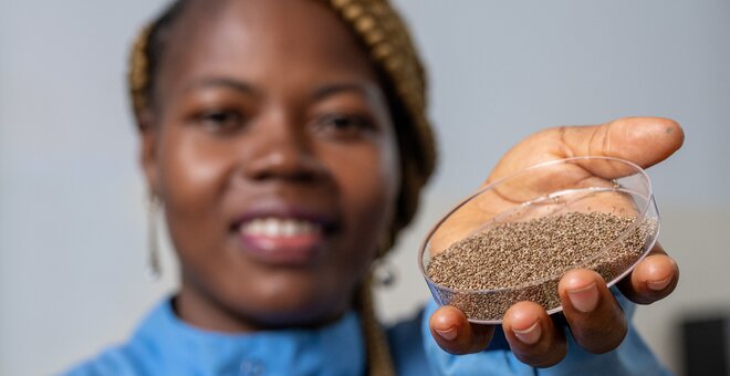 Reclaiming Fonio: How Benin’s Oldest Grain is Finding New Life