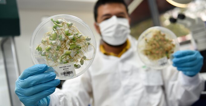 Looking at Genebanks Through a Breakthrough Lens