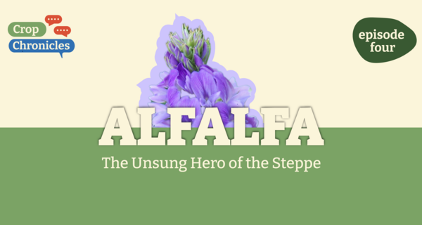 Crop Chronicles Podcast: The Unsung Hero of the Steppe - Alfalfa