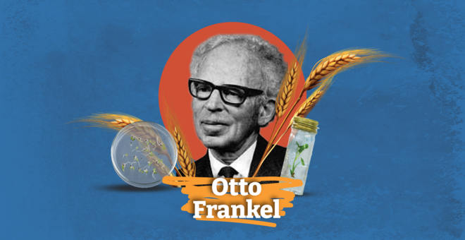 Otto Frankel: 1960s Trailblazer for Plant Biodiversity Conservation