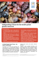 Safeguarding a Future for the World’s Potato Genetic Resources