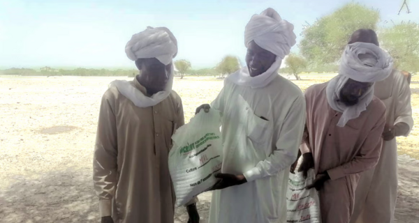 ICRISAT Boosts Food Security in Niger and Chad During Ukraine-Russian Conflict