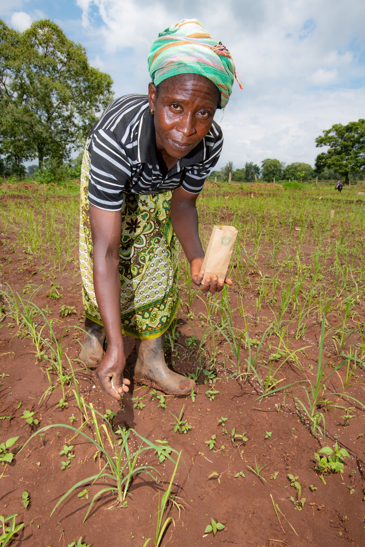 A worker at KALRO.