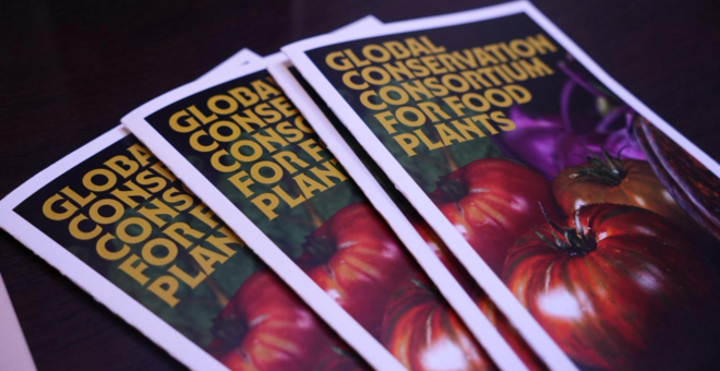 ©FAO / Alessia Rosu