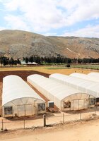 Expanded Crop Genebank Opens in Lebanon