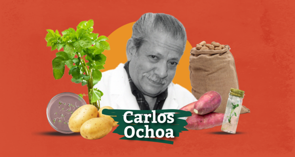 Carlos Ochoa: The Indiana Jones of the Potato World