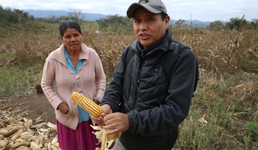 400-Year-Old Bolivian Newcomer Ships Seeds to Svalbard