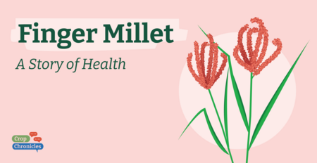 Finger Millet: A Story of Health