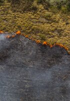 Aerial shot of forest fire in Brazil