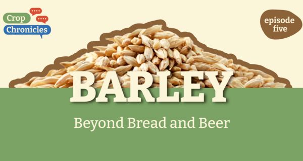 Crop Chronicles Podcast: Barley - Beyond Bread and Beer