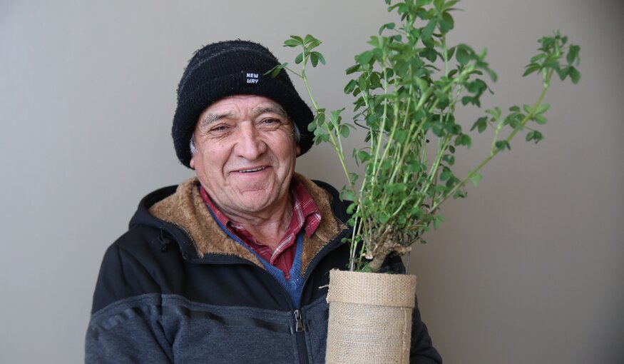 Kauke Alfalfa Gives Farmers’ Livelihoods a Boost in Chile’s Central Valley