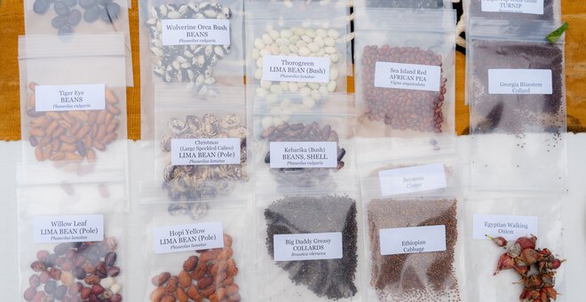 FAO: New Global Partnership to Conserve Food Plants