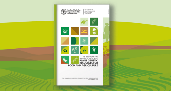 New FAO Report Checks Up on the Health of Crop Diversity Conservation