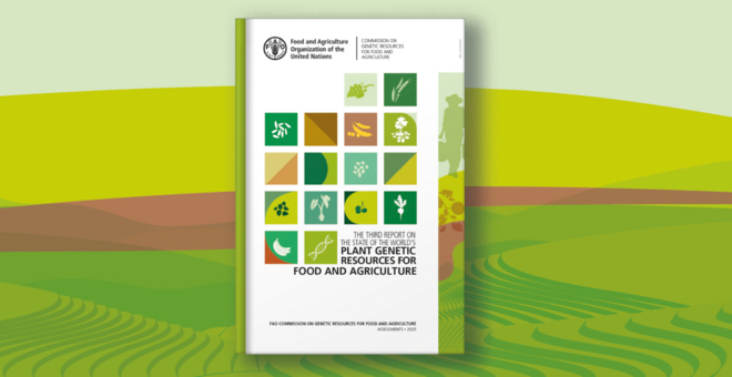 New FAO Report Checks Up on the Health of Crop Diversity Conservation