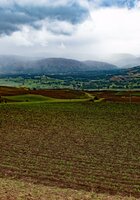 The Crop Trust joins forces with the Global Landscapes Forum for a food and nutrition secure future