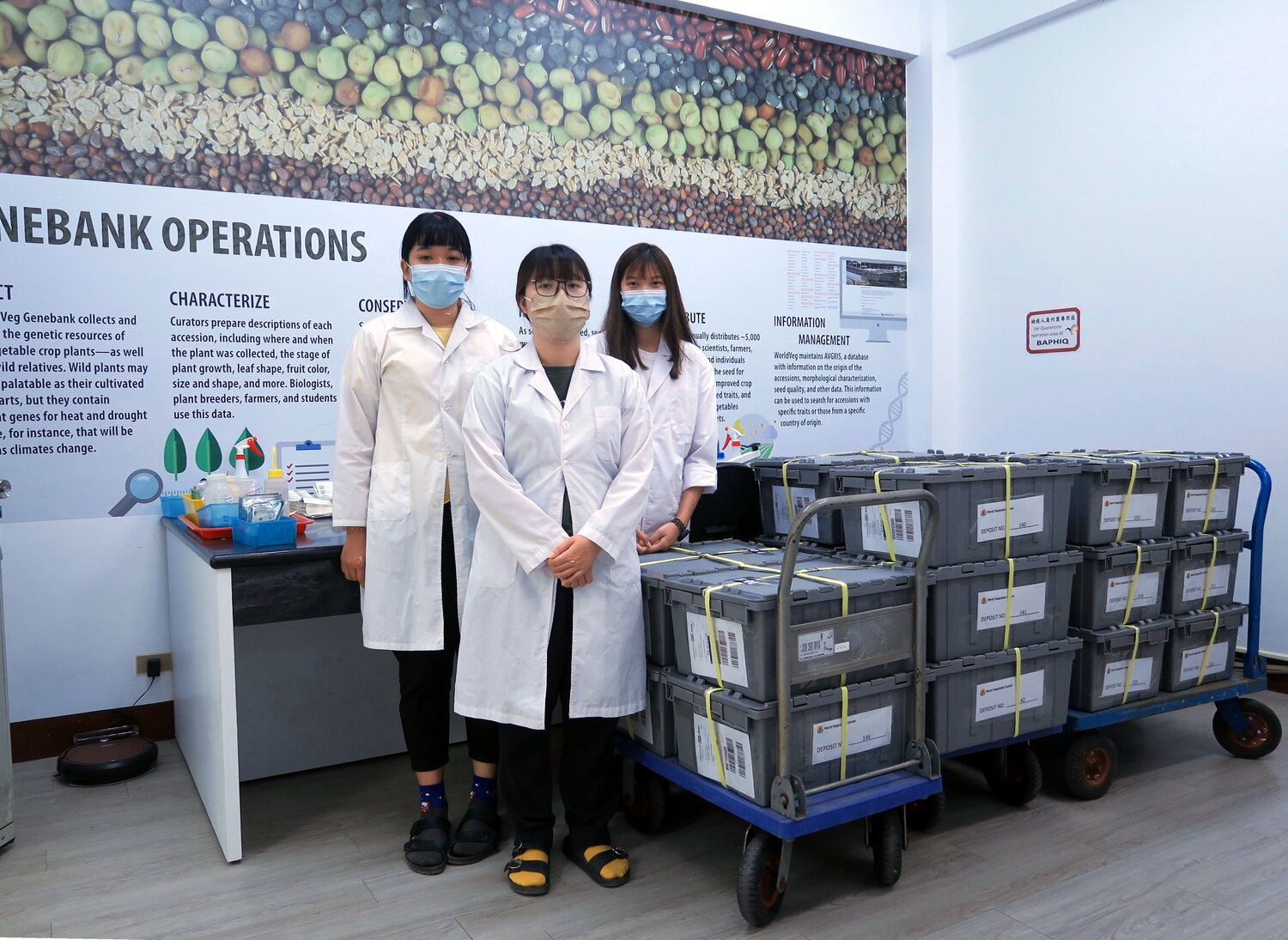 Three genebank staff standing next to boxes.