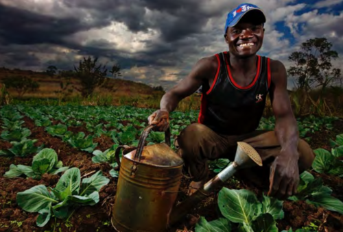 The Power Behind the Picture