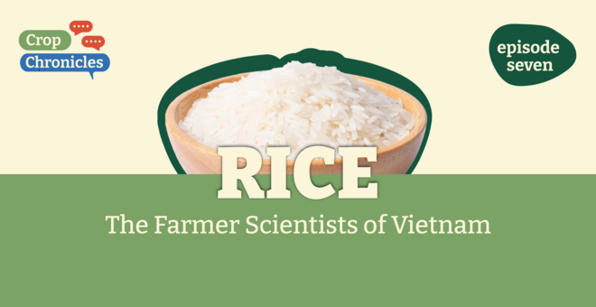 Crop Chronicles Podcast: Rice - The Farmer Scientists of Vietnam