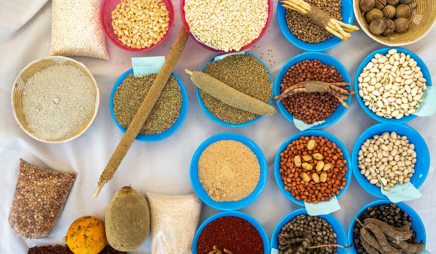 A display of crop diversity at the 2024 Good Seed & Food Festival in Harare, Zimbabwe. Photo: Crop Trust/Mike Major