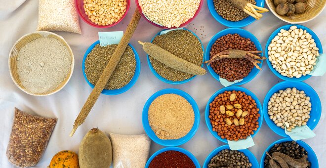 A display of crop diversity at the 2024 Good Seed & Food Festival in Harare, Zimbabwe. Photo: Crop Trust/Mike Major