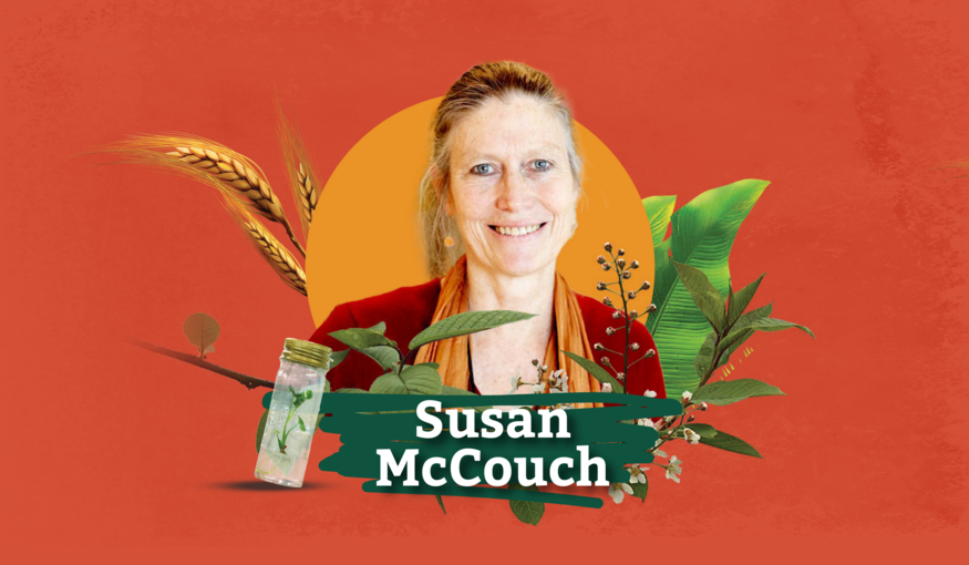 Susan McCouch: Pioneer of Modern Rice Breeding