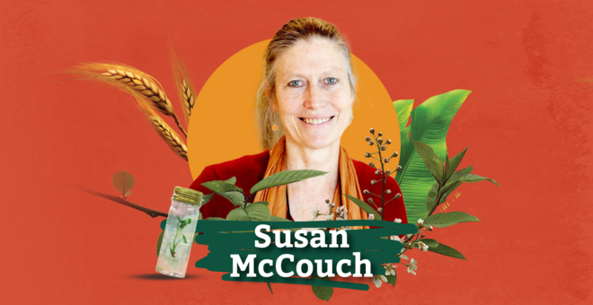 Susan McCouch: Pioneer of Modern Rice Breeding