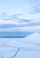 Poland, Slovakia Now Among Depositors to Svalbard Global Seed Vault