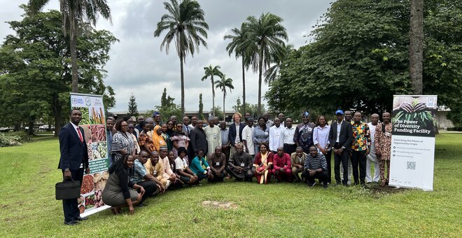 Nigeria Chooses Its Opportunity Crops