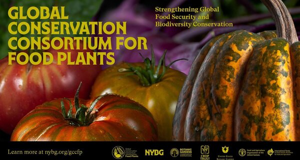 The Global Conservation Consortium for Food Plants Launches to Strengthen Global Food Security