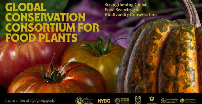 The Global Conservation Consortium for Food Plants Launches to Strengthen Global Food Security