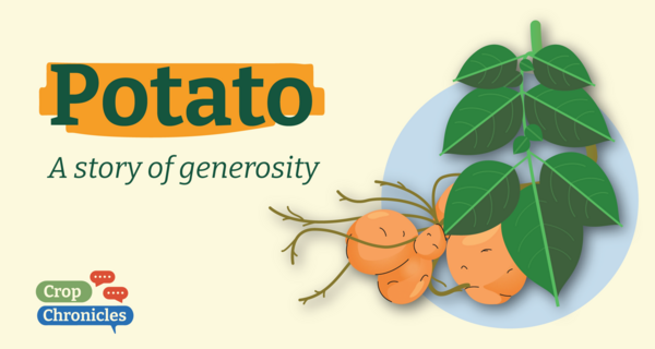 Potato: a Story of Generosity
