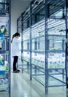 Crop Trust and the Plant Treaty Launch Lifeline for Genebanks to Secure the Future of Crop Diversity