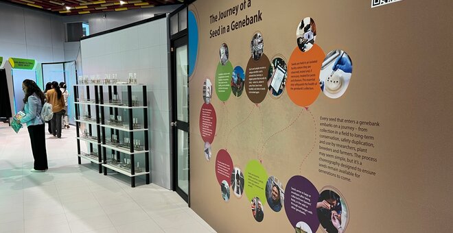 International Partners Launch Immersive Exhibition at GB-11 in Peru