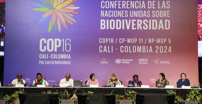 COP16 Recap: New Fund, Indigenous Rights and Colombia’s Treaty Step