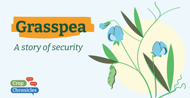 Grasspea: A Story of Security