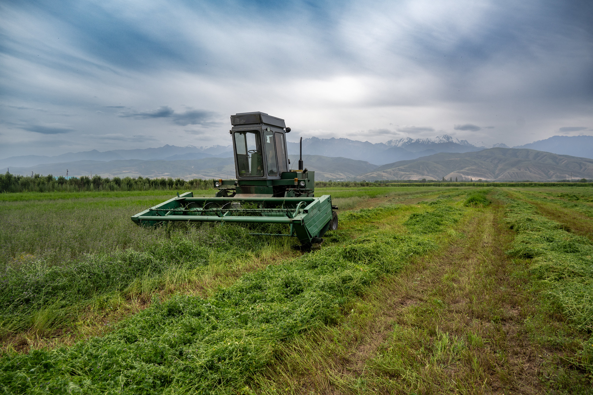 Farmers' Rights in the International Treaty on PGRFA