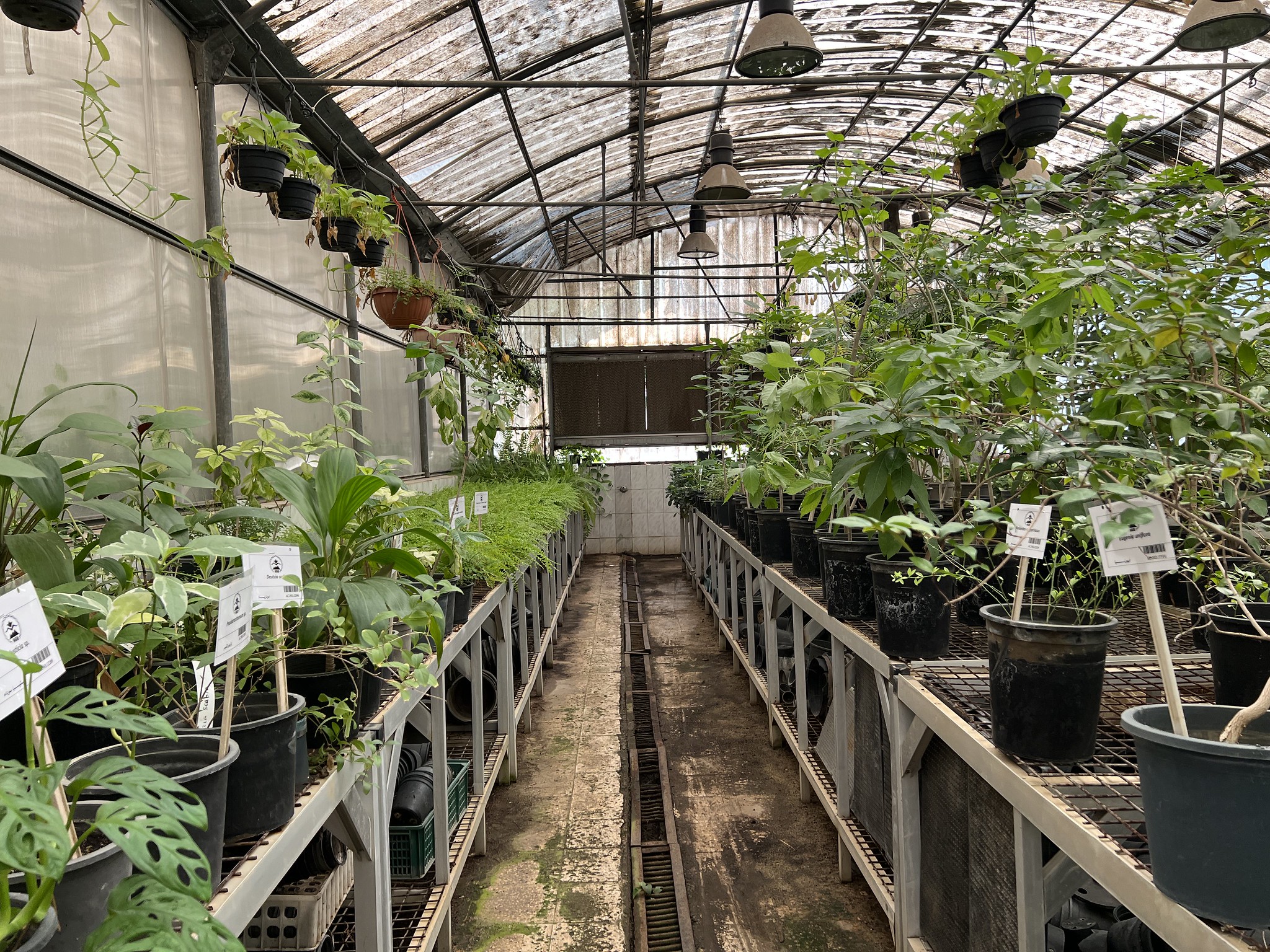 Introduction to International Environmental Policies