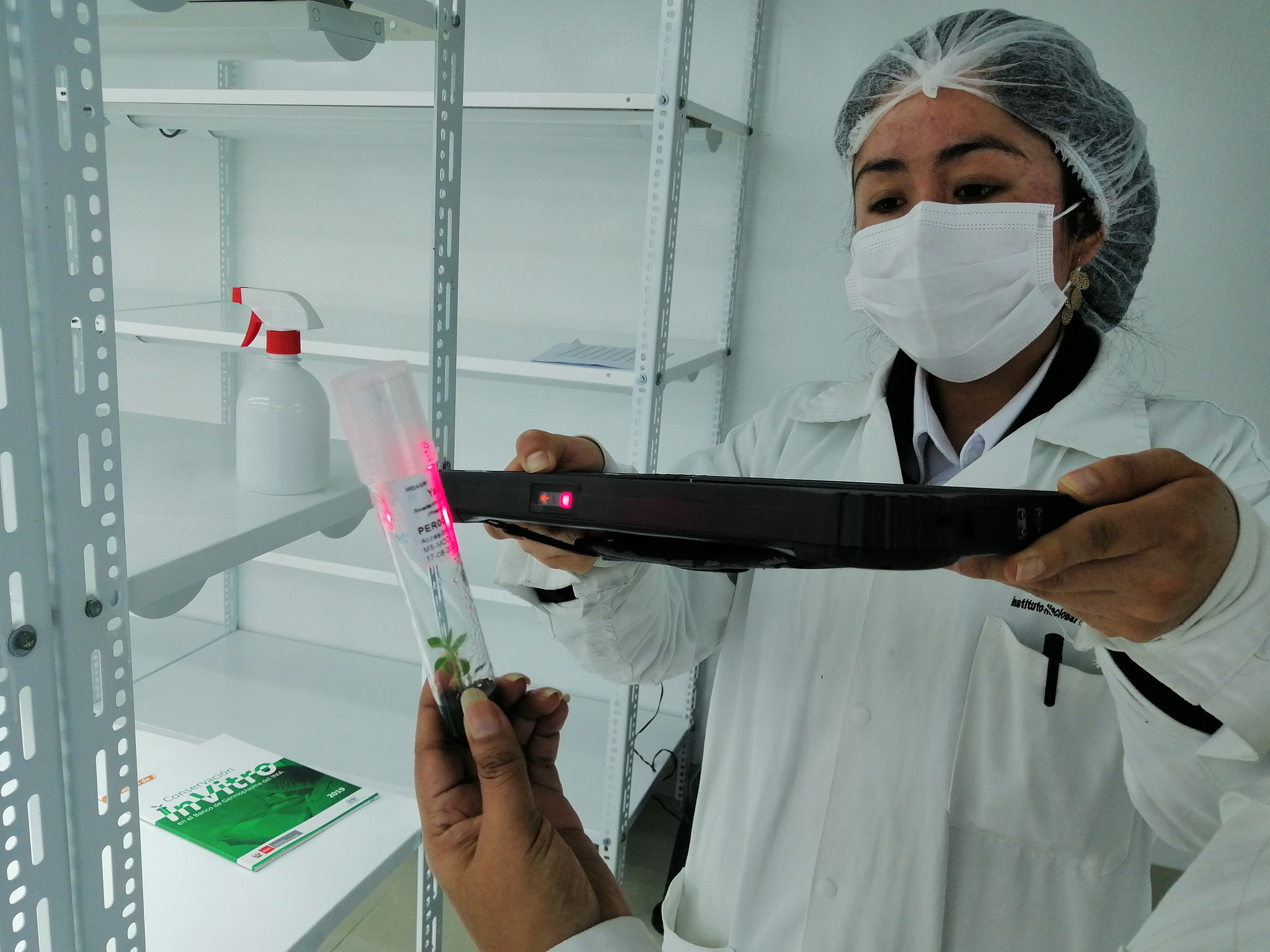 Managing Collections Data