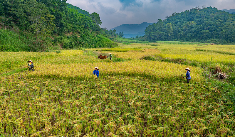 SDG Indicators 2.5.1 and 2.5.2 - Plant and Animal Genetic Resources