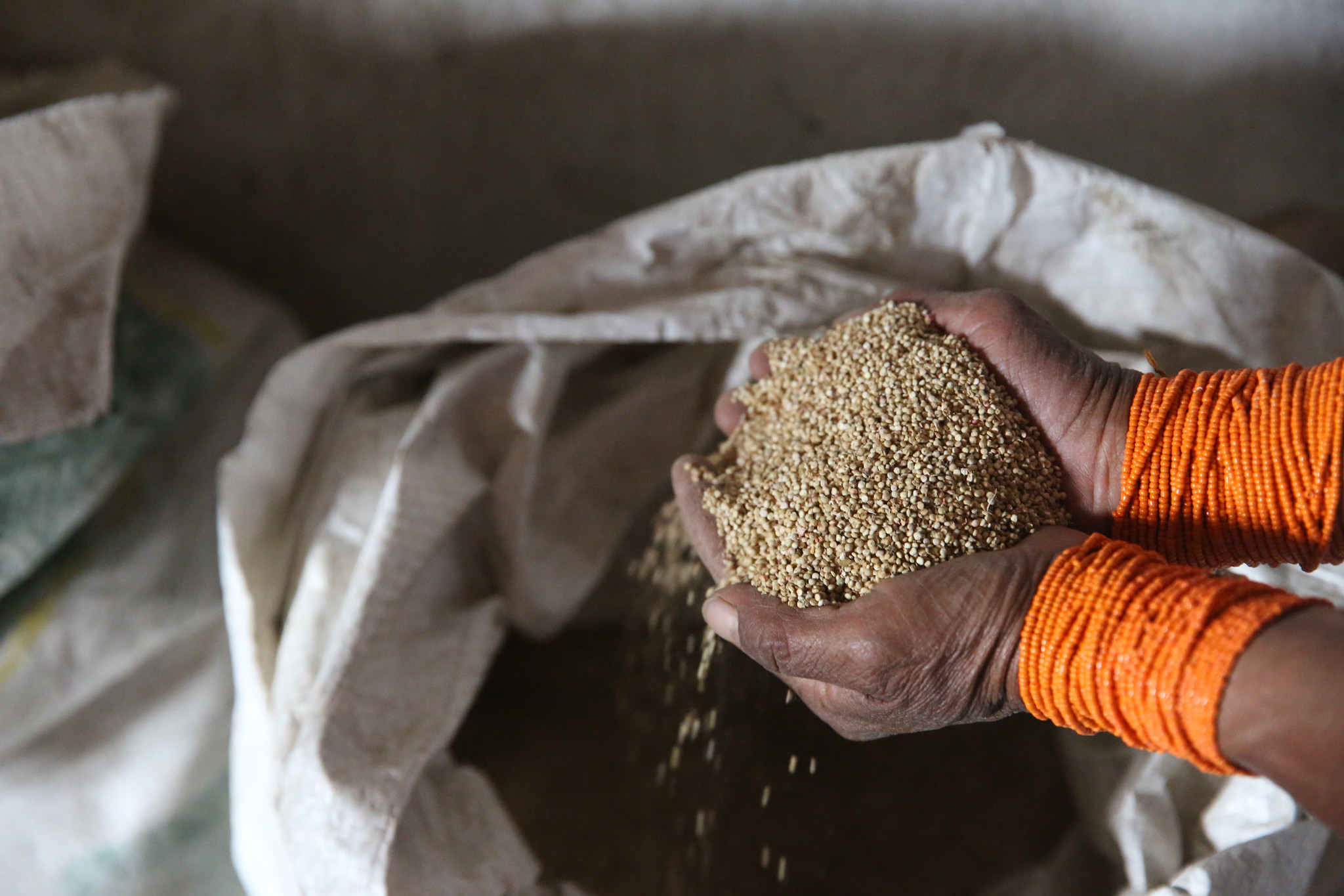 Seed Conditioning 101- Basic Foundations